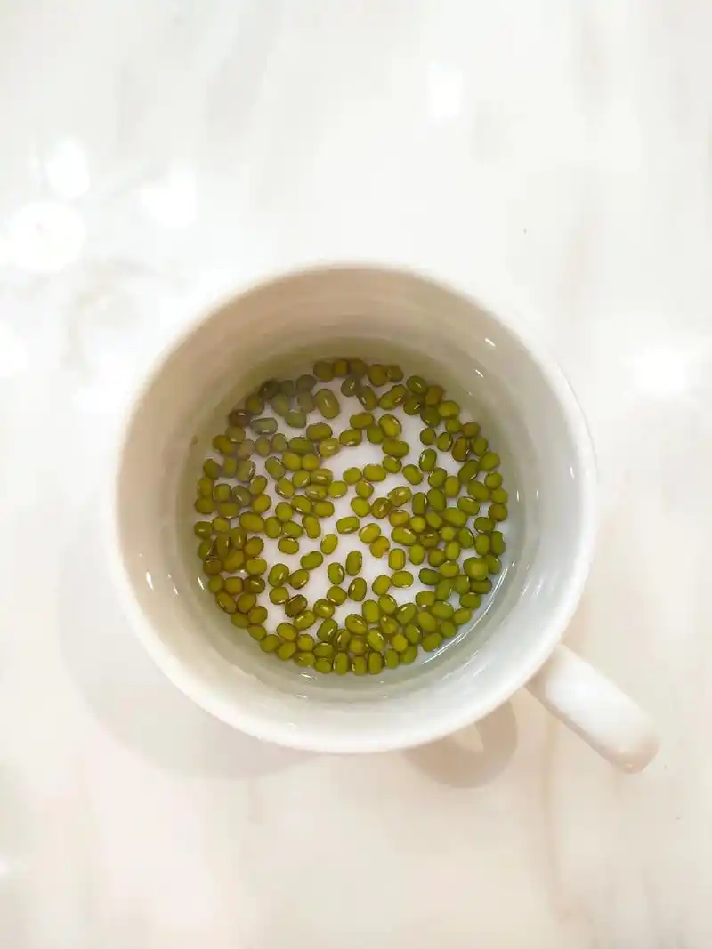 小丫头的家庭作业,水培绿豆芽,第1天和第6天,第7天的对比图 - 抖音