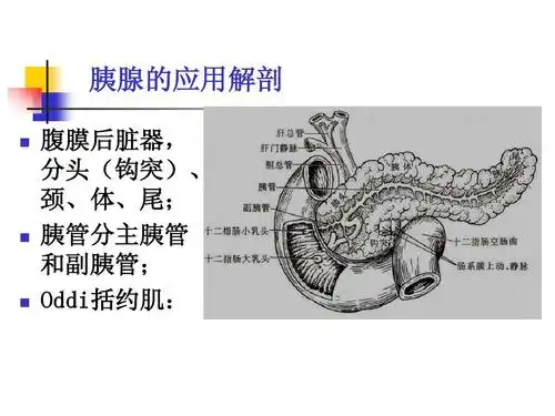 第四十六章 胰腺疾病ppt