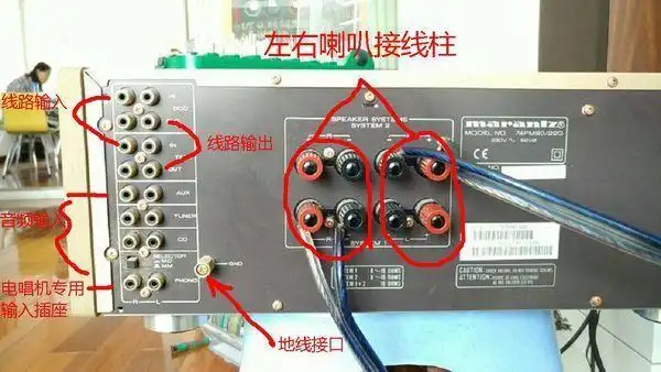 喇叭线可以接下面的一组,也可以接上面的一组,都是一样的.