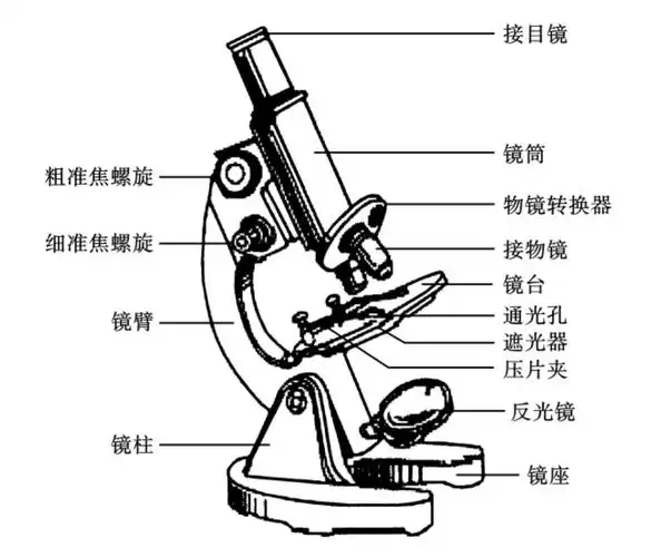 显微镜标本到物镜的距离计算