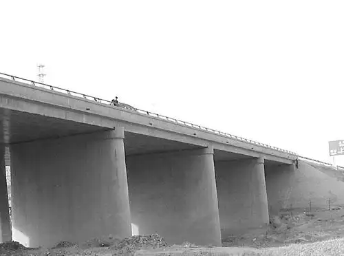 m的高等级公路,该桥下部结构桥墩为重力式桥墩,基础为扩大基础,桥