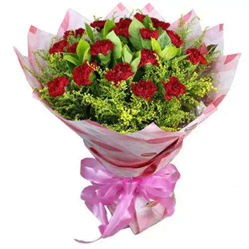 母亲节康乃馨花束