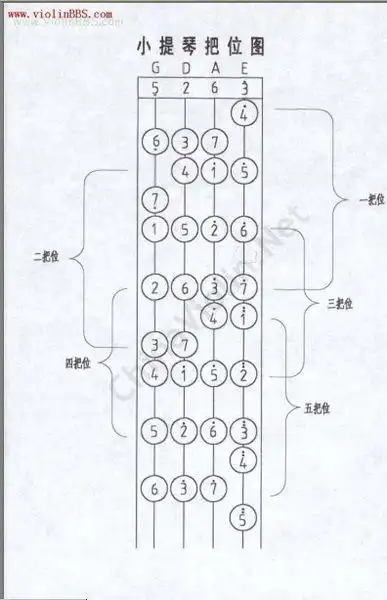 小提琴四根弦的音
