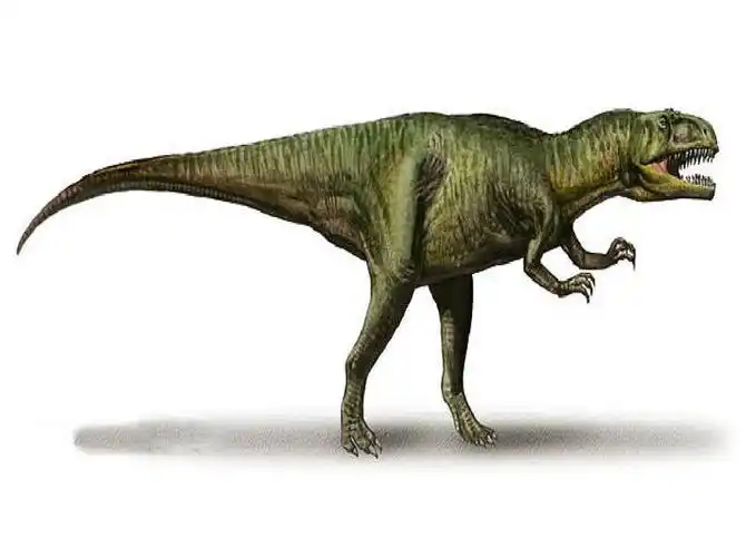 一分钟了解气龙