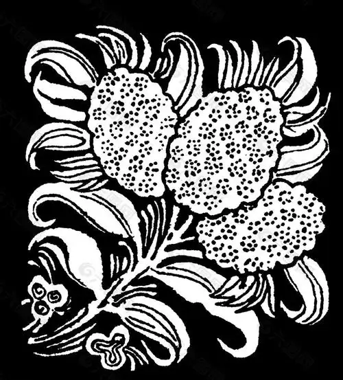 黑白花纹背景图片设计元素素材免费下载(图片编号:5629758)-六图网