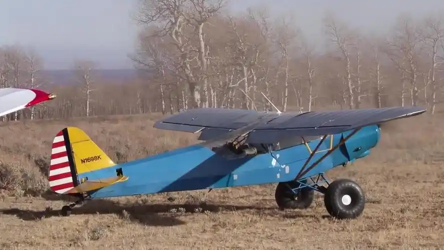 丛林平面上的1000磅小熊越野飞机