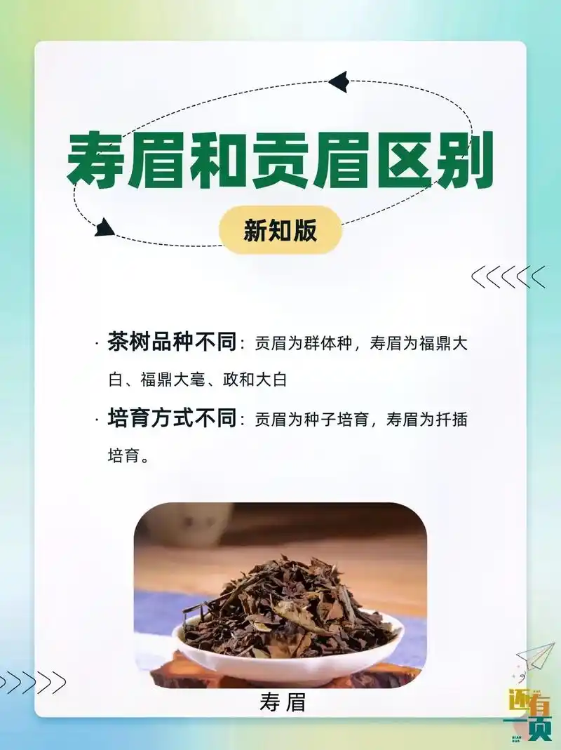 寿眉和贡眉的区别.1,茶树品种不同:#贡眉 为群体种,#寿眉 - 抖音