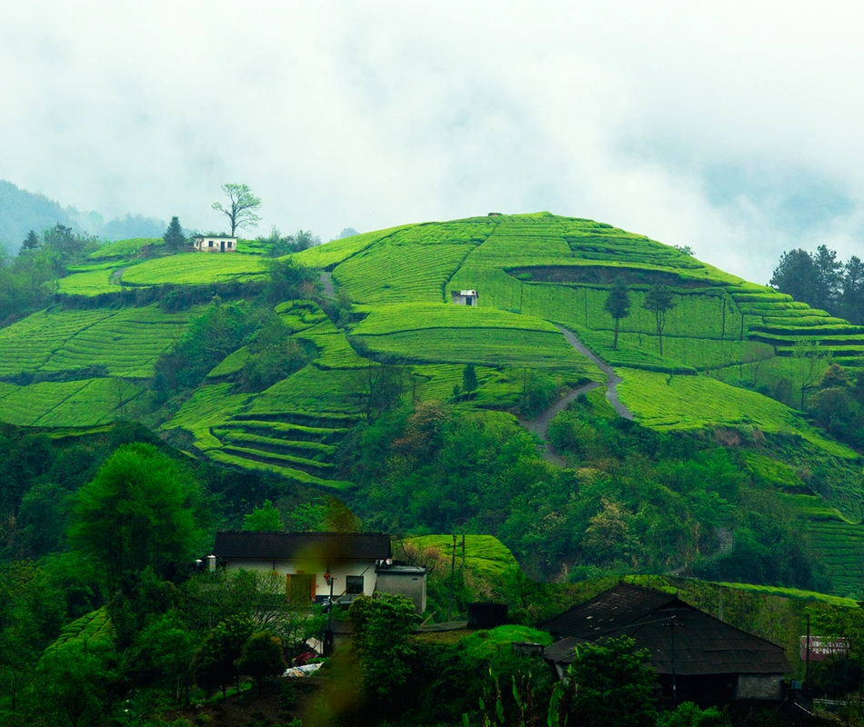 常德石门乡村美景入画来