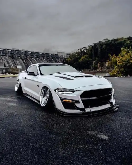 1080_1350竖版 竖屏