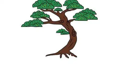 重点画出松树独特的造型,难点是对松树上叶子的描绘,这样画出来的松树