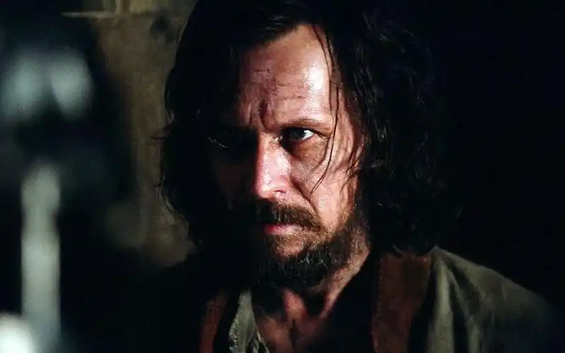 小天狼星布莱克的一生生而叛逆上