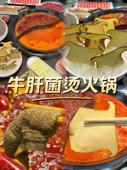 7515成都国庆这样过|跟着成都er吃牛肝菌烫火锅