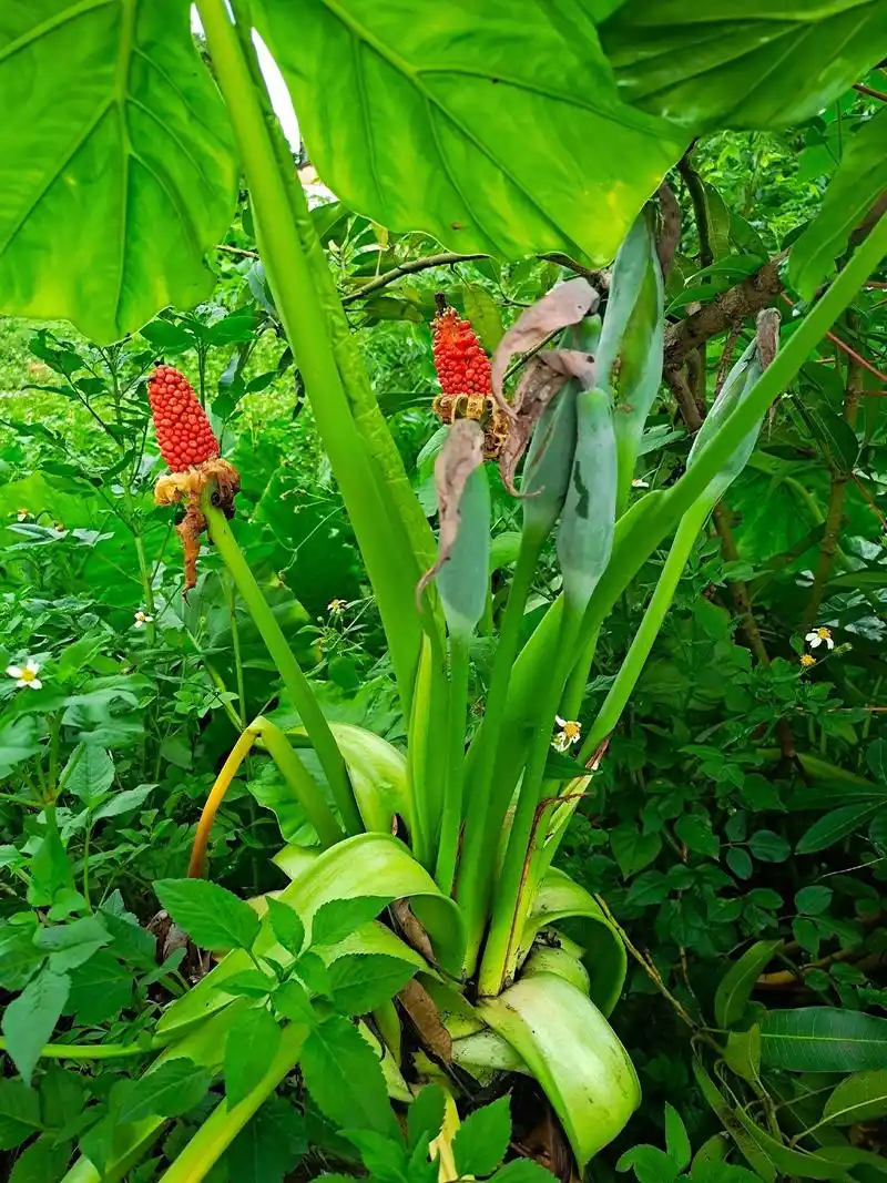 江念念:"有幸的话被爱 无幸的话自爱 其它时间做个旁观者" #我的文字