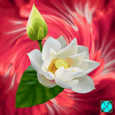 400_400gif 动态图 动图