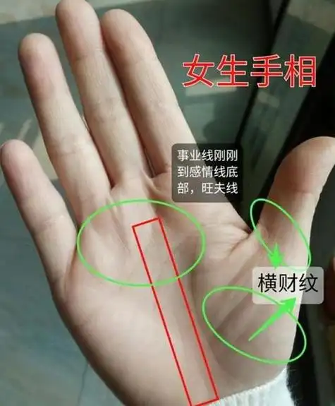 手纹上的斗和簸箕图解(十个手指都是簸箕的人算命)