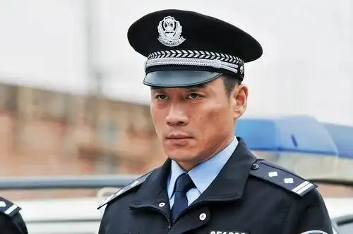 内地电视  由张嘉译,王海燕,丁海峰,王笛,郭京飞等众多实力明星领衔