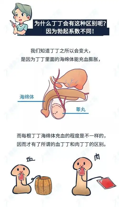 18禁丨带你来见识一下这个世界上最大的丁丁