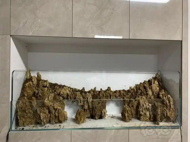 【建缸日记】今日做的水陆骨架