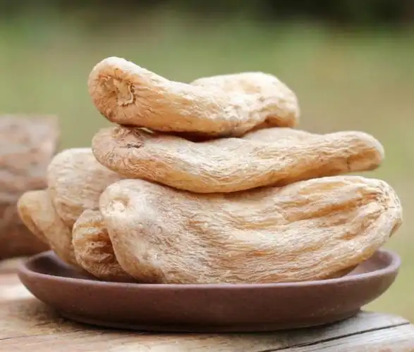 祝之友教授解读《神农本草经》—天麻