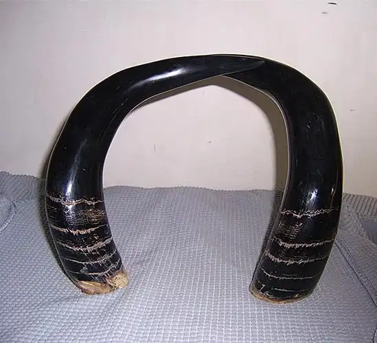 此牦牛角摆放寓意为【招财迎客】 此牦牛角摆放寓意为【合家欢乐】