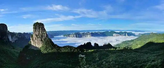 恩施州举行才聚荆楚春回校园现场招聘会