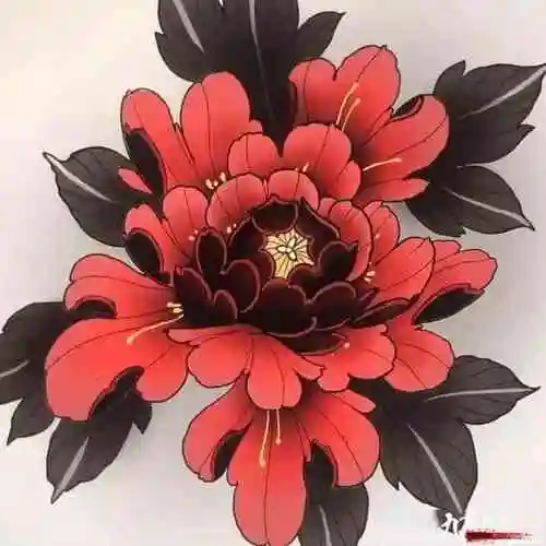 彩色牡丹花 纹身手稿