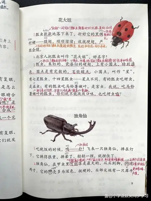 小学语文三年级下册第4课昆虫备忘录教师笔记