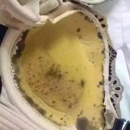 那些被吹上天的海绵钢圈聚拢内衣,你还在穿吗?