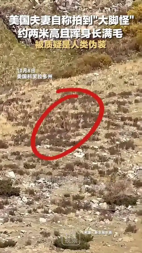 美国夫妻自称拍到"大脚怪",约两米高且浑身长满毛,被质疑是人类伪装