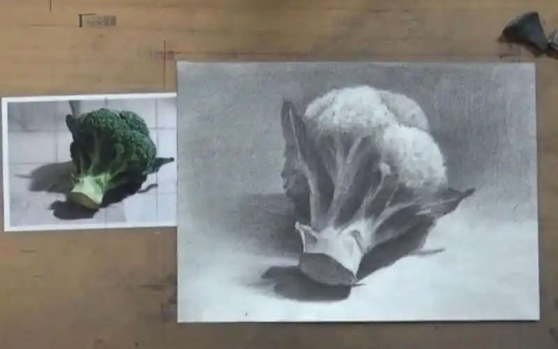 静物素描轻松学16--西蓝花_哔哩哔哩_bilibili