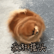 疯狂摇头狗gif动图_动态图_表情包下载_soogif