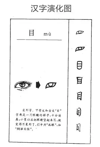 汉字解密之【目】 临沂河北小学书法教师 高鹏程