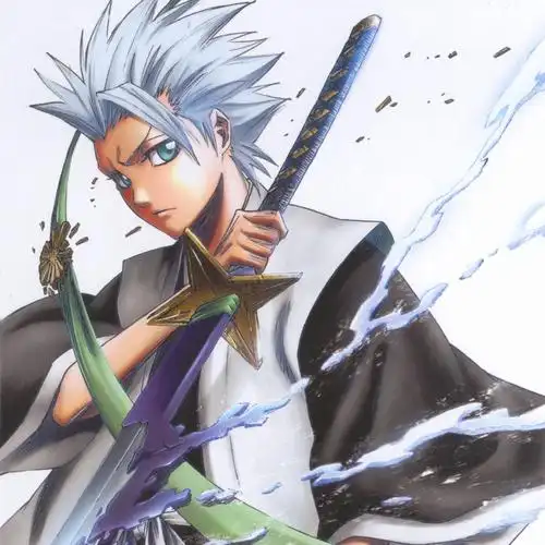 日番谷冬狮郎,出自《死神bleach》,十番队队长