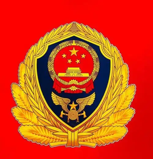 走进消防救援特勤中队——记海区第五小学五三中队参观消防特勤实践