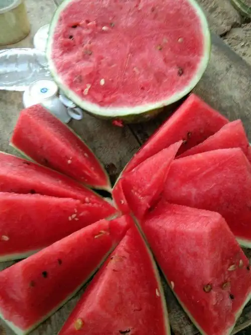 性好,生育强健,单果重11-15公斤,丰产性好,中心折光含糖量12,瓤色鲜红