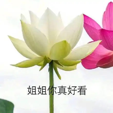 好看你妈表情包 - 好看你妈微信表情包 - 好看你妈qq表情包 - 发表情