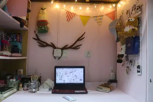 外语学子在校第十届寝室美化设计大赛中取得佳绩