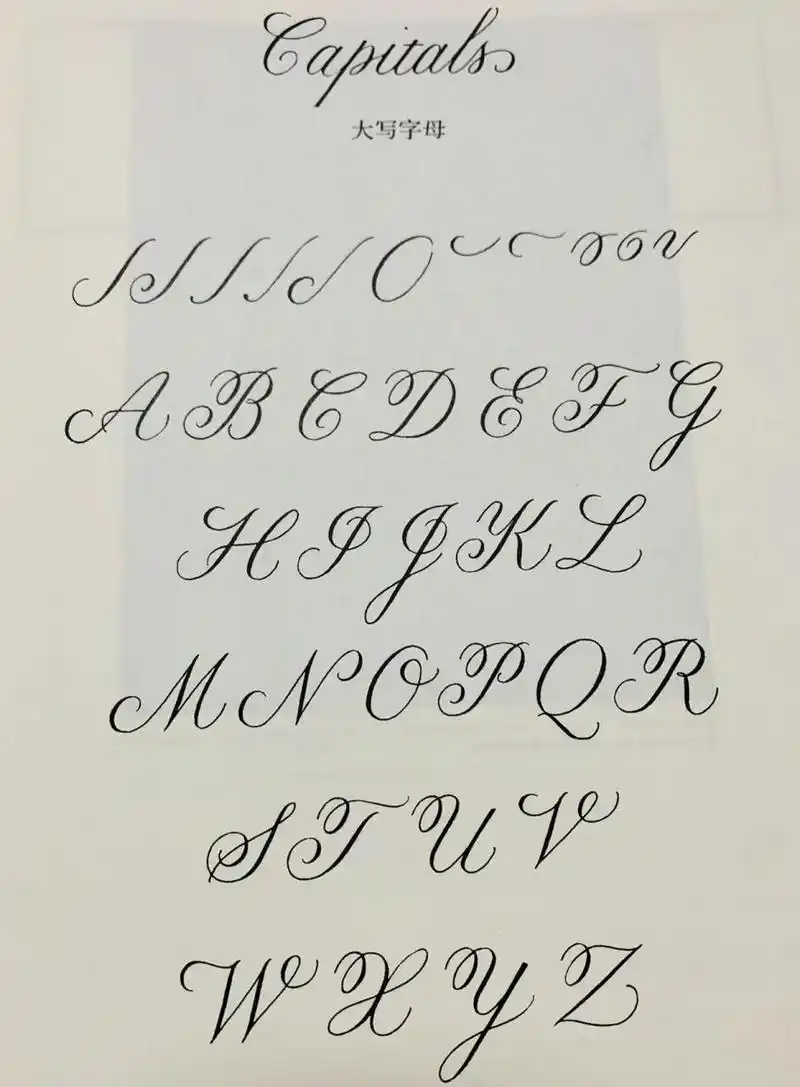英文书法圆体字day2 英文书法圆体字练习固然重要 而打下理论基础也很