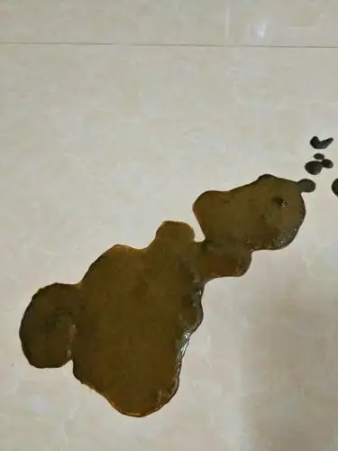 我家狗狗是不是得了犬细小啊?拉的便便稀稀的,想喝水都吐.