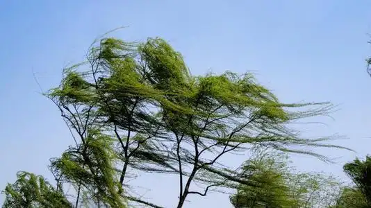 内蒙古赤峰遭遇8级以上大风,二中吹成一中,学生调侃:找不着门