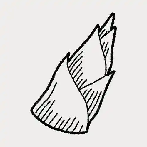 竹笋简笔画 竹笋简笔画好看又简单