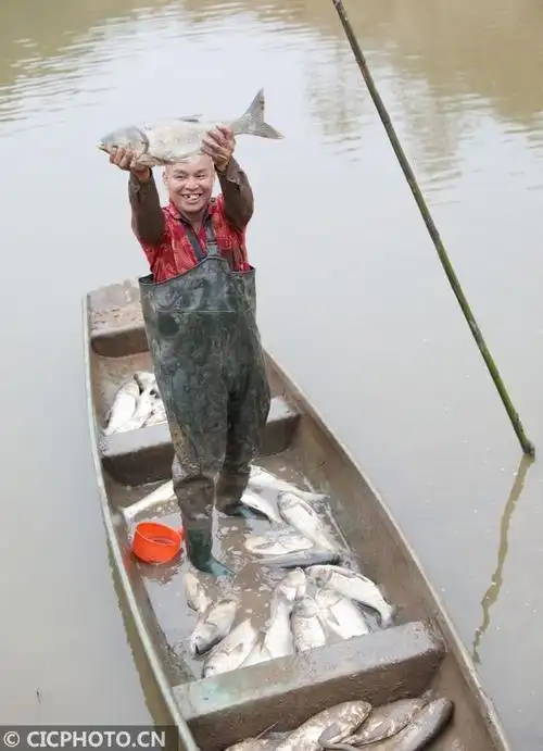 湖南道县:鱼肥人欢冬捕忙