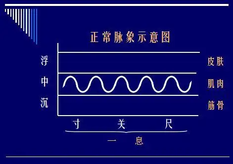 大梆小课堂脉象分类与主病一浮脉沉脉篇