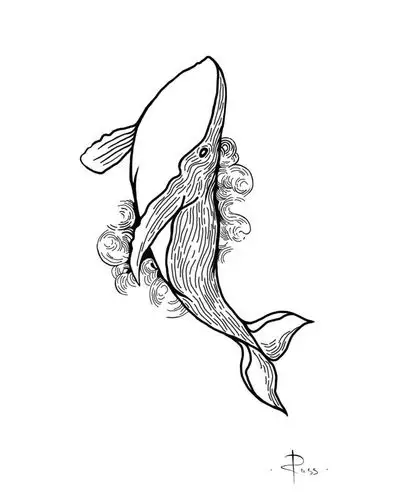 黑灰鲸鱼纹身手稿