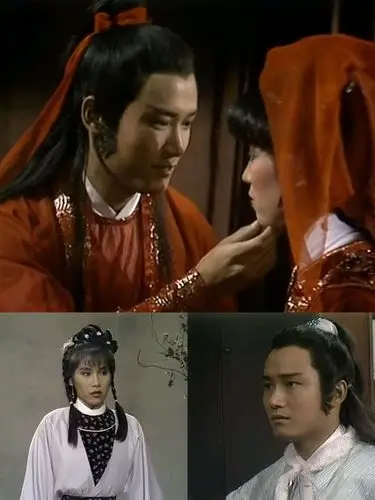 杨康     (苗侨伟饰)    穆念慈(杨盼盼饰)