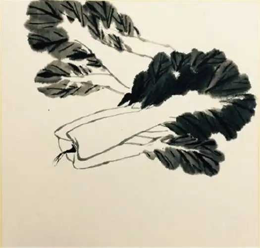 国画白菜的画法步骤