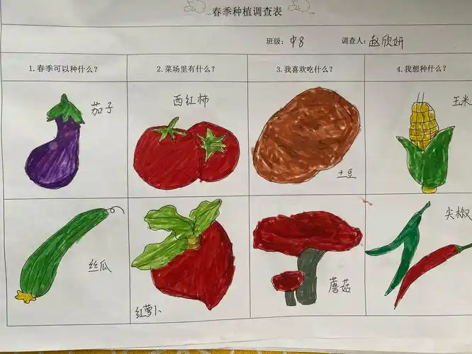 和茄子一起成长——中八班种植小故事