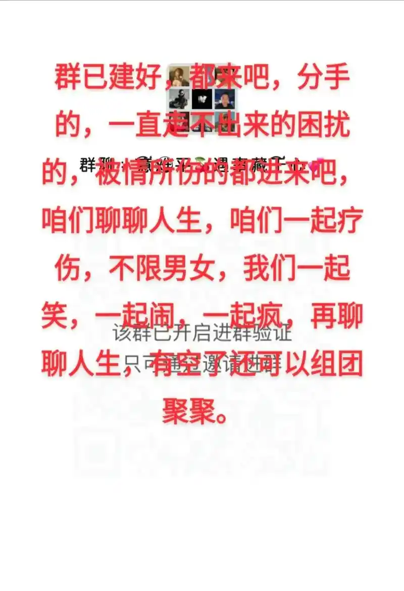 群我已经建好了,离婚的,分手的,单身的,背叛的,为情所困的, - 抖音