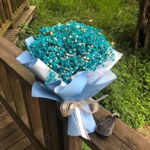 满天星花束真花送闺蜜朋友生日礼物情人节圣诞节母亲节礼物裸束满天星