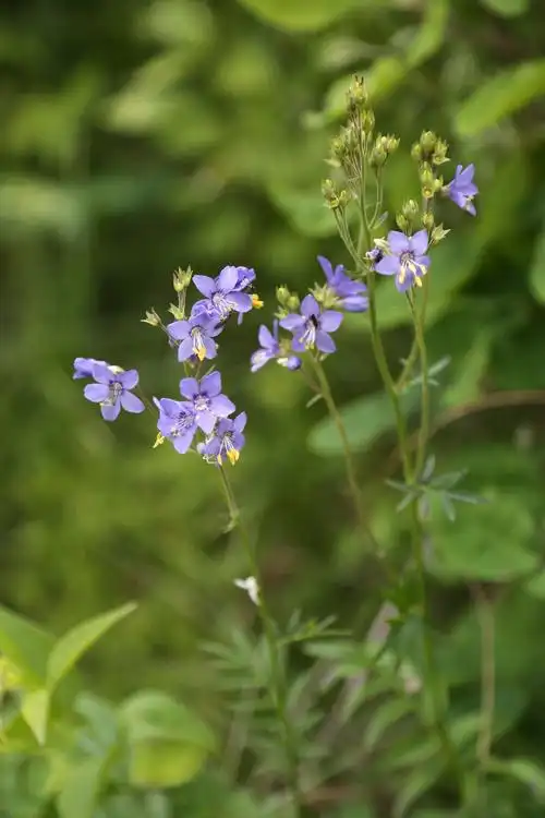 绥芬河市野外踏查的第一天